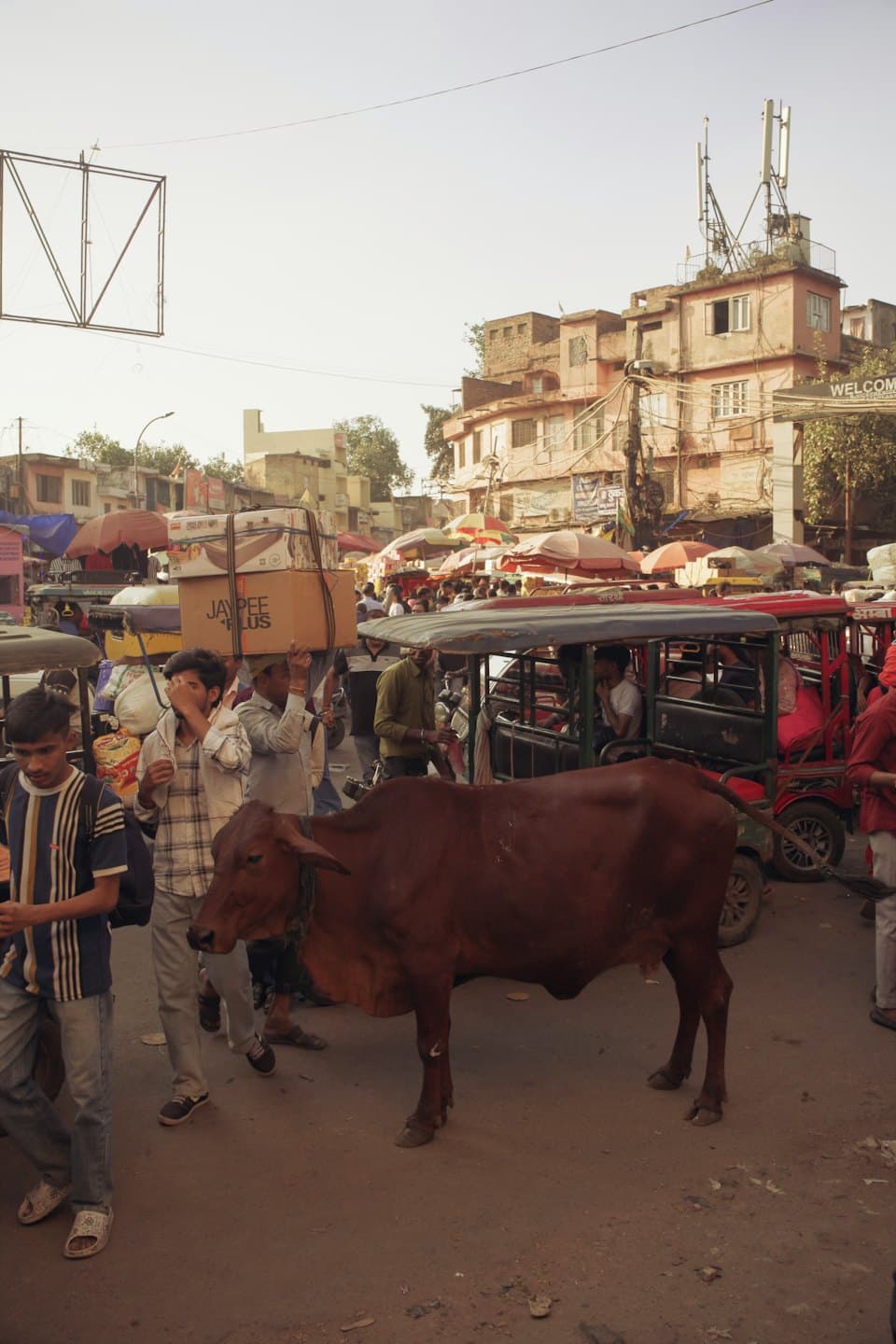 Una mucca marrone cammina in una strada di mercato urbano affollata.