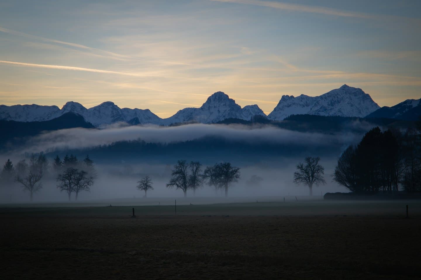 Montagne innevate sopra nebbia e alberi spogli all'alba.